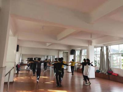 新平县政府信息公开与文艺创作服务 提升文化惠民水平的新路径