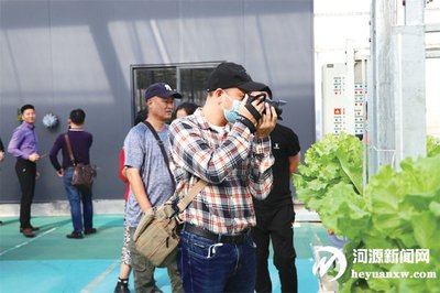 全省文艺业务骨干赴河源采风 感悟乡村人文与生态之美